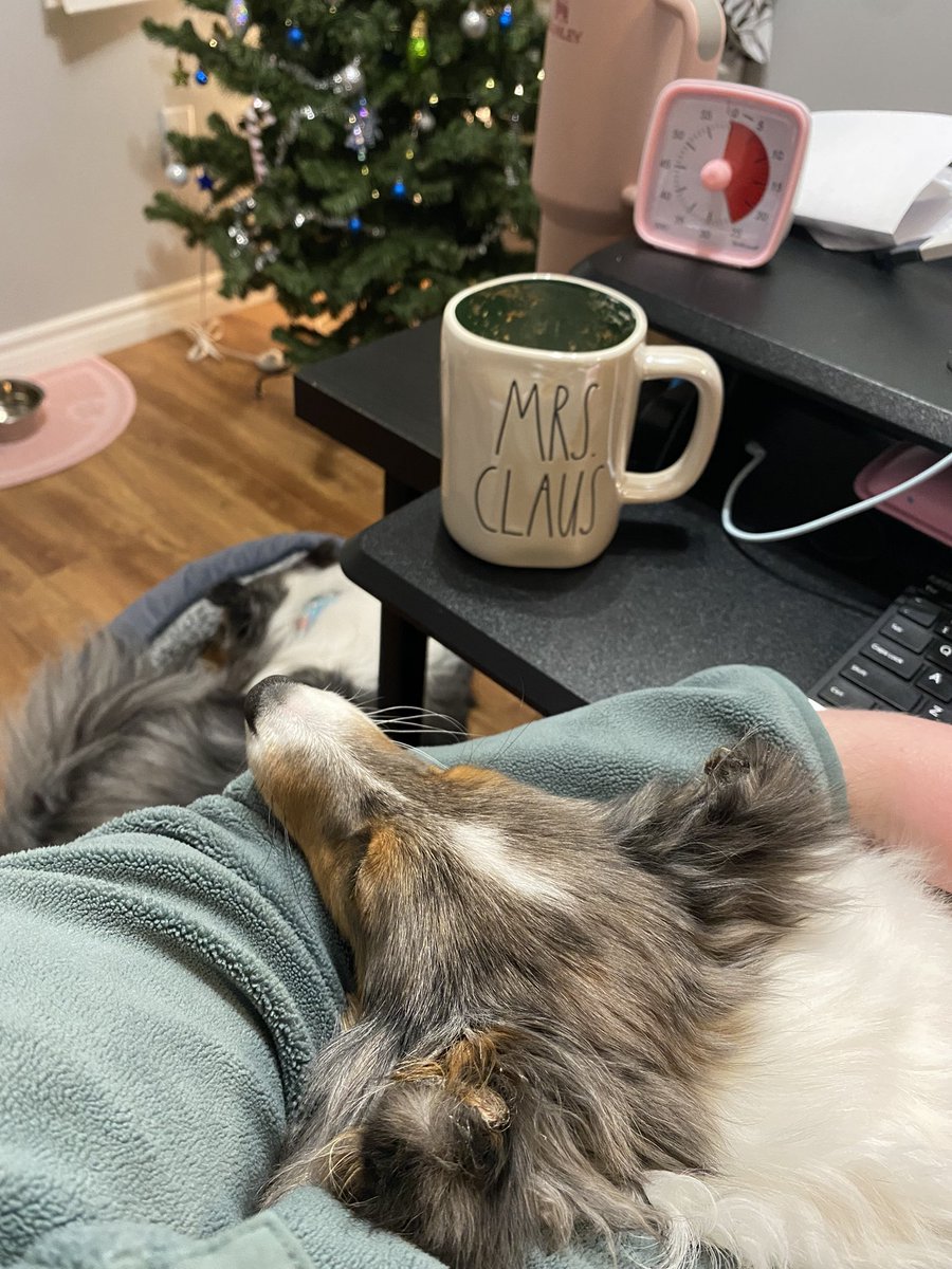Puppy snuggles and festive vibes tonight, doing some timed thesis writing! ✨ 

<a href="/SGrant_RD_PhD/">Shannan Grant (she/hers)</a> looking forward to updating you tomorrow. ✍🏻