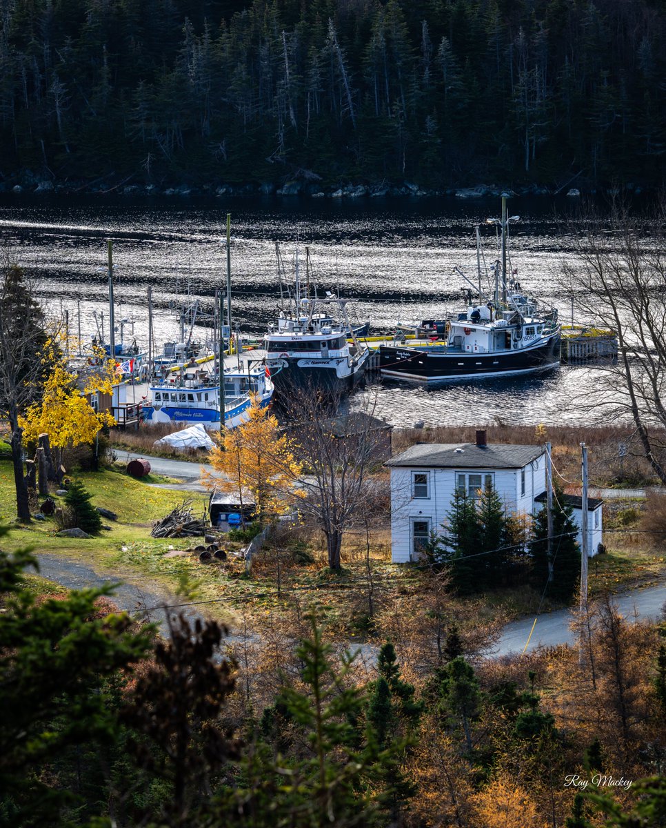 Aquaforte, Newfoundland. #newfoundland #Canada #explorenl #explorecanada