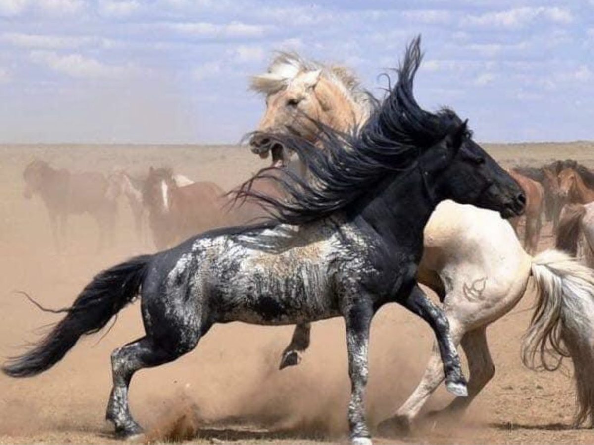 Өглөөний мэнд 2023.11.23
Өрх бүрд эрүүл энх инээд хөөрөөр дүүрэн байг