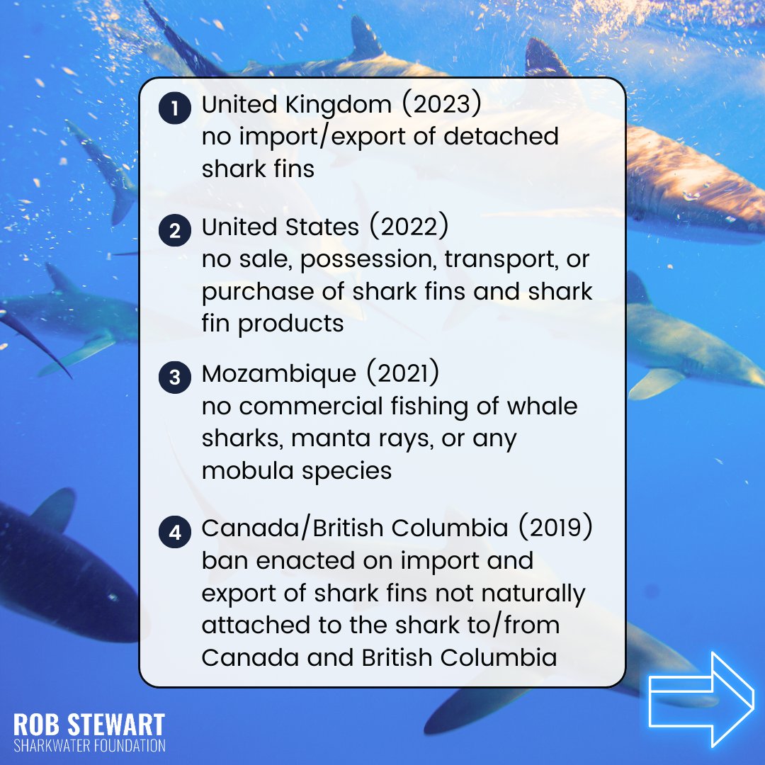 teamsharkwater's tweet photo. It’s heartwarming to see individuals, communities and organizations standing up against the devastating impacts of shark finning. More than ONE HUNDRED MILLION sharks are slaughtered every year…this is NOT OK.
#GivingTuesday #SharkProtection #RobStewart #Sharkwater https://t.co/u4jecDxsjz