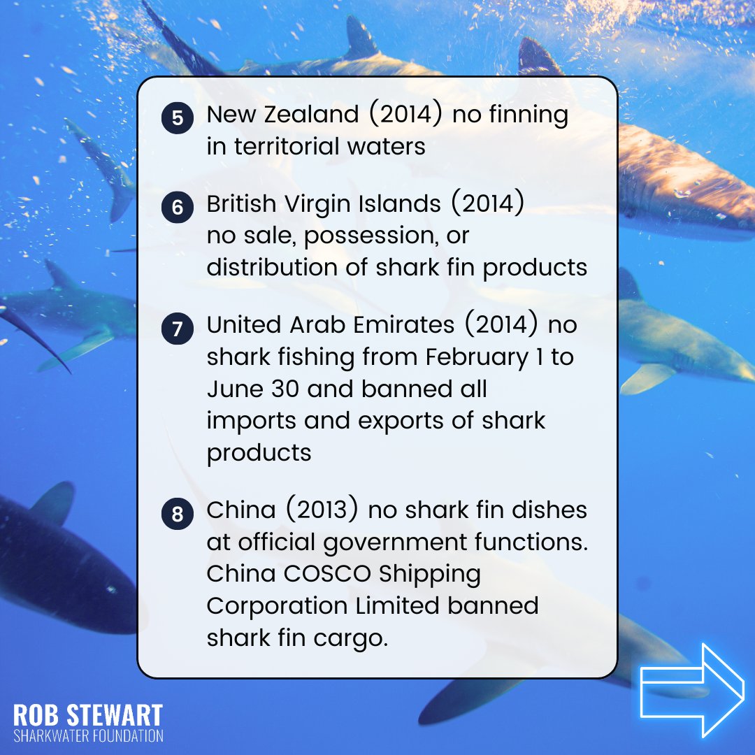 teamfinfree's tweet photo. It’s heartwarming to see individuals, communities and organizations standing up against the devastating impacts of shark finning. More than ONE HUNDRED MILLION sharks are slaughtered every year…this is NOT OK.
#GivingTuesday #SharkProtection #RobStewart #Sharkwater https://t.co/845oWnHubD
