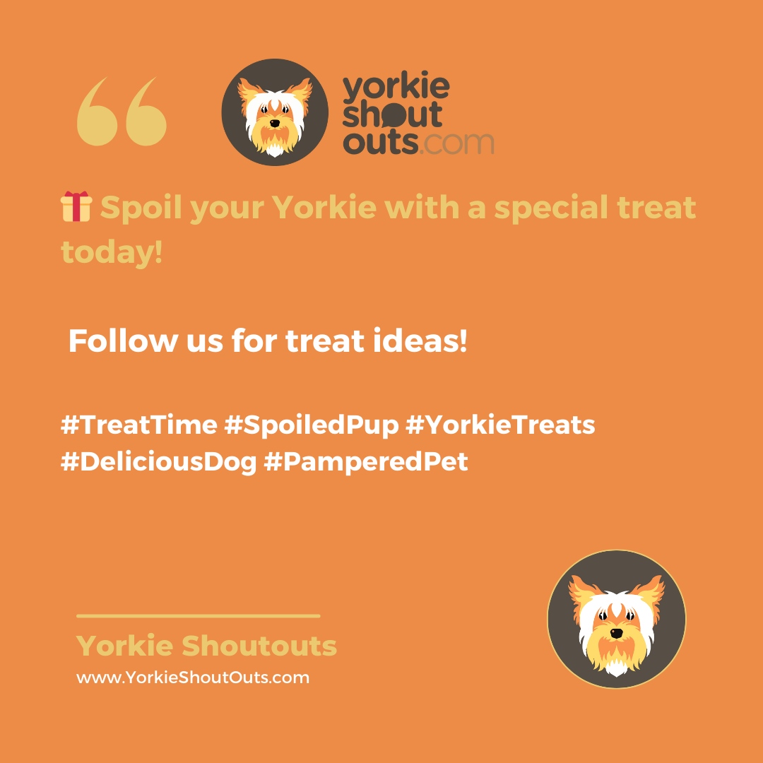 YorkieShoutOuts's tweet image. 🎁 Spoil your Yorkie with a special treat today! Follow us for treat ideas! Visit yorkieshoutouts.com #TreatTime #SpoiledPup #YorkieTreats #DeliciousDog #PamperedPet

Welcome to Yorkie Shoutouts, the home of all things yorkies! Get ready for some pup-tastic content.