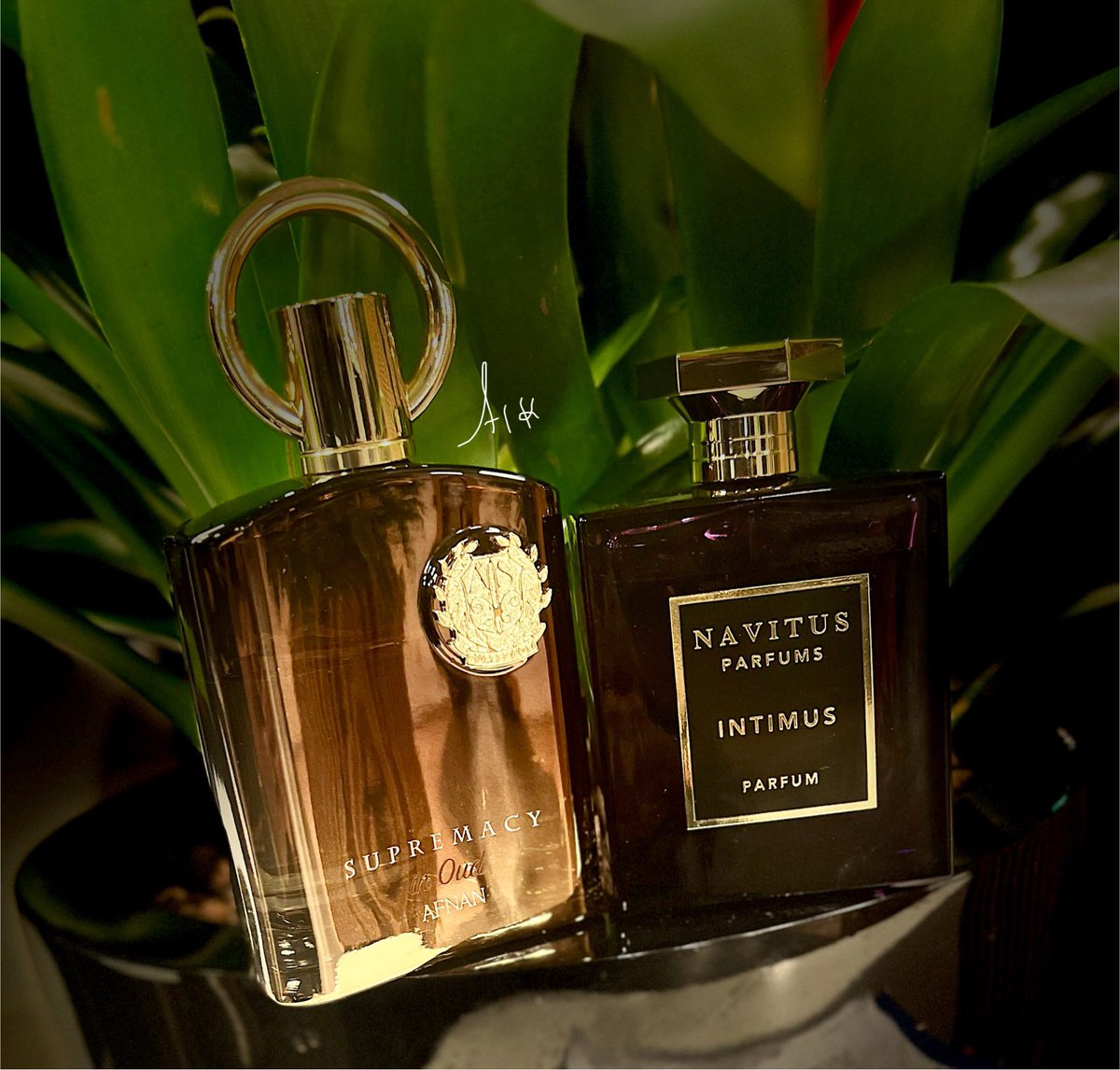 aikjones's tweet photo. #SOTN #fragrance #FragHead #Perfume #nicheperfumes #perfumeaddict #scentoftheday #perfumes #perfumecollection #Afnan #Navitus 

A very interesting blend it turned out to be, I’ve found Intimus to be quite enjoyable in these colder days of the year. https://t.co/tSCVyAYIsa