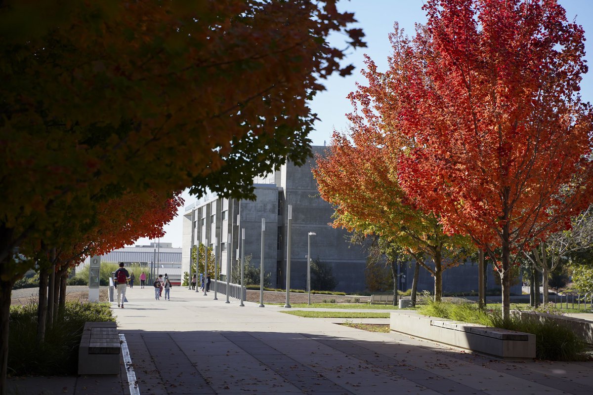 ucmerced's tweet photo. In honor of the fall break enjoy these photos of campus 🍂🍁
 
Reminder that campus will be closed on Nov. 23rd and 24th. Have a wonderful break and a safe journey if you're traveling! https://t.co/vA7whi6hHS