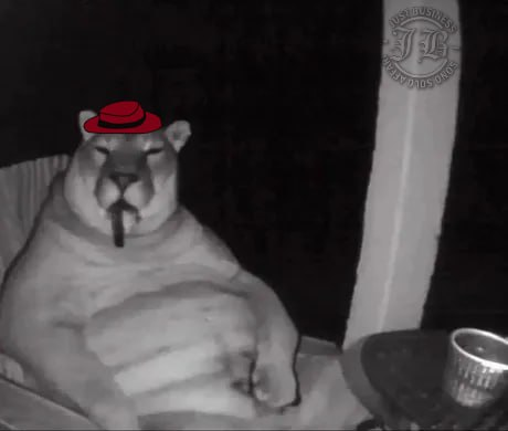 JustBusinessERC's tweet photo. >mfw Don Sacchi yells at me at 3:63 AM for not sending the fresh memes ( i was on vacation )

$JB #JB #JustBusiness https://t.co/XcZasST1S2