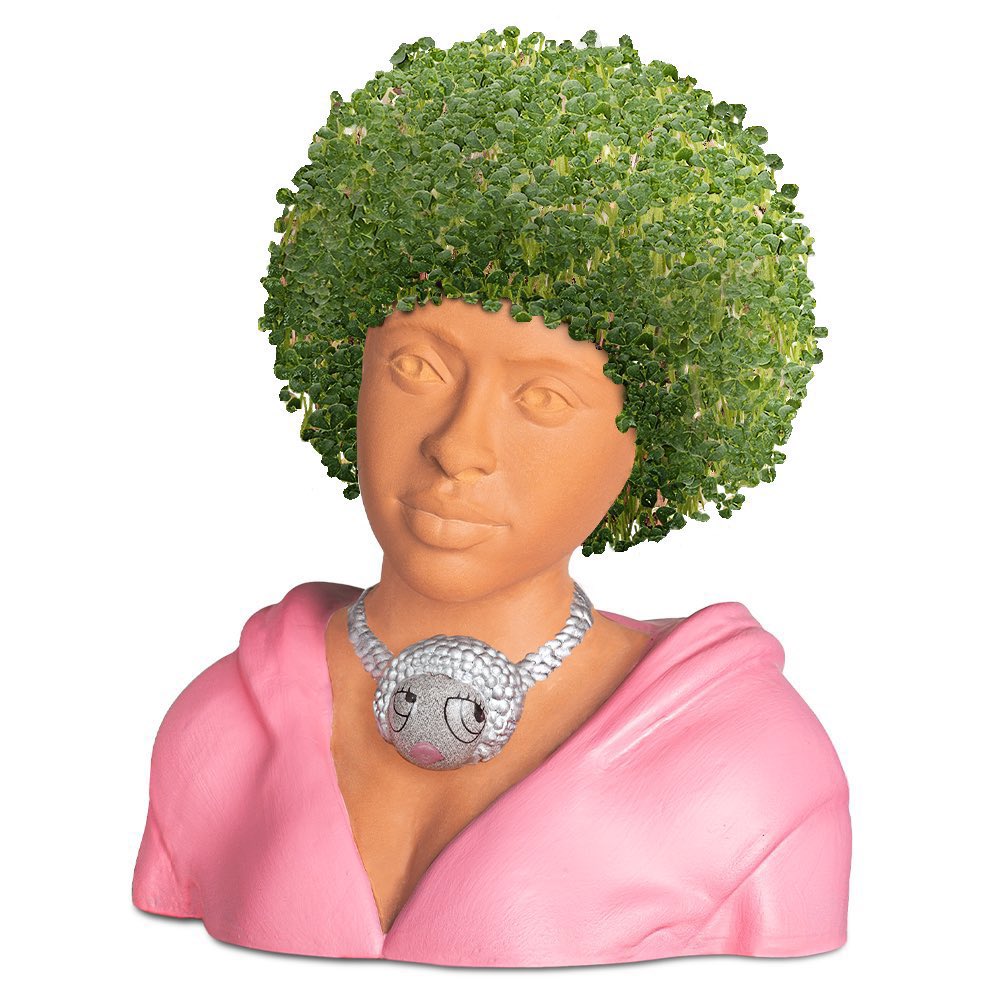 Pop Crave tweet media