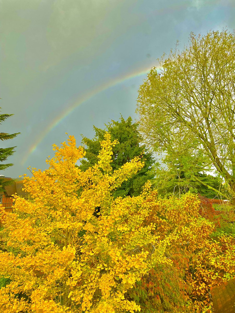 <a href="/lovely_plot/">🌱Lovely_Plot 💅🇵🇱🇬🇧🪷🐞🐝</a>