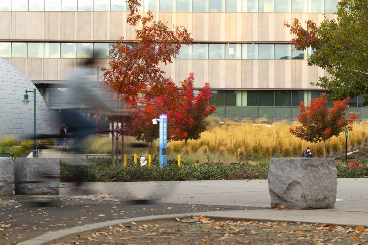 sacstate's tweet photo. POV: You're looking through our camera rollππ #FallingforSacState
For full gallery: https://t.co/GfSq9IiOTY
πΈ Andrea Price & Bibiana Ortiz https://t.co/OpA1uPkOE8