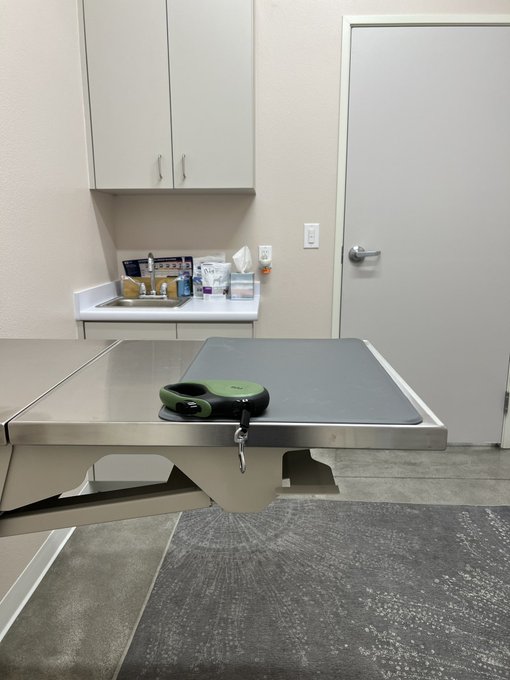 I had some tests at the doctor $500 come home to my puppy having two ear infections $500. This has been<a href="/tag/boycottstarbucks"class="tags"><span>#boycottstarbucks</span></a><a href="/tag/redcupday"class="tags"><span>#redcupday</span></a>