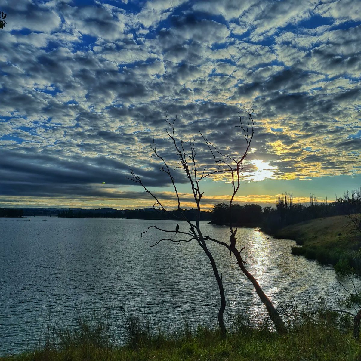 The brief escape before the office..