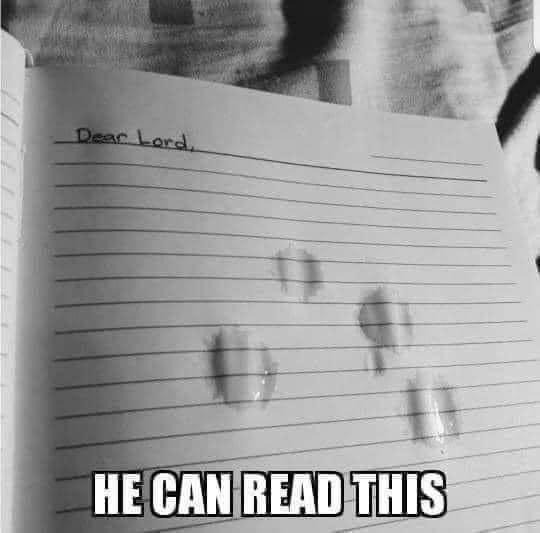 Judianna's tweet photo. Did you know there’s a prayer called the “I don’t know” prayer? It’s very spiritual. You just go off somewhere quiet and hidden and you walk right up to the heart of God and you say, “I don’t know.”

I don’t know where to go from here. I don’t know what is happening. I don’t know how to process this. I don’t know what to do with these emotions. I don’t know how to handle this situation. 

It covers a lot of I don’t knows. 

And then with whatever dusty little sand grain of faith you have, you say, “But You know.”

And you leave it there. 

God most certainly hears that prayer.