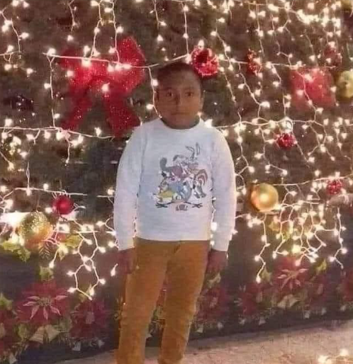 Robnilo's tweet photo. Ponen un árbol navideño en una la plaza comercial*

La gente color croqueta: https://t.co/lVlpZmcVXa