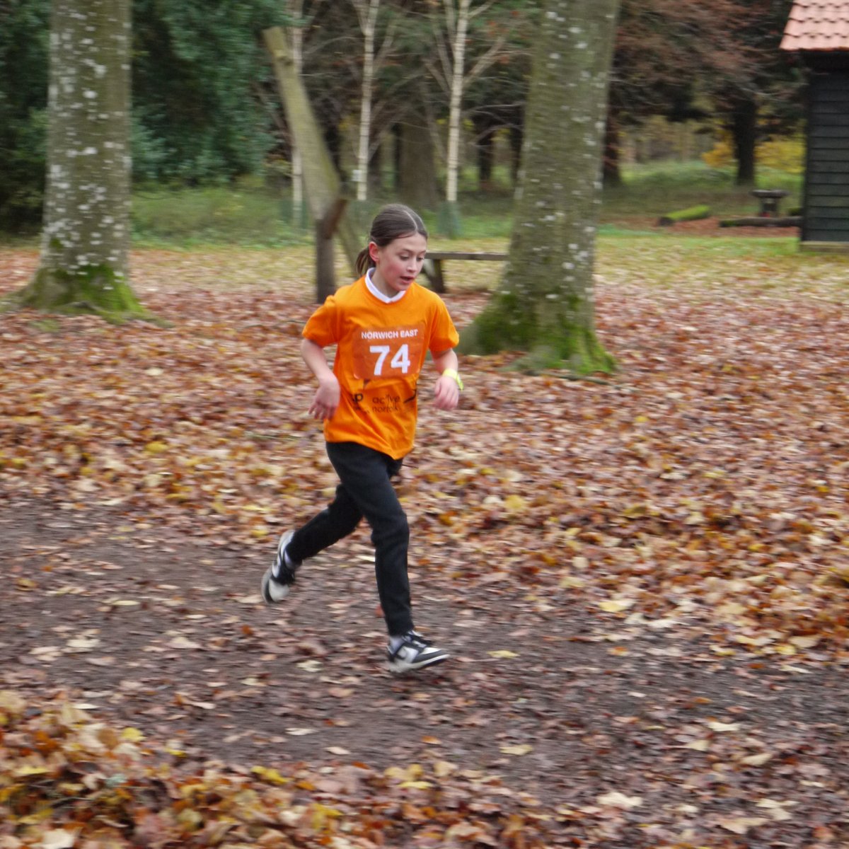 DussindalePrim1's tweet photo. Well done to our cross country runners who took part in the Norfolk Schools Cross Country Finals. We are very proud of you all! https://t.co/ZW0PqkaHcR