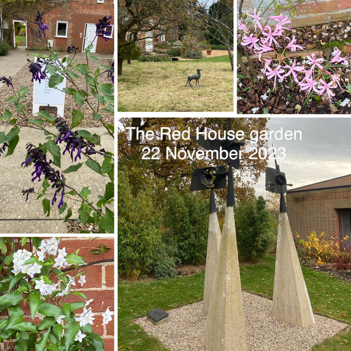 Gill Bracey tweet media