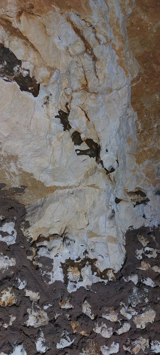 FredAlex28pro's tweet image. #FMPA #CdCD sur la thématique &quot;risques bâtimentaire&quot;. L&apos;occasion de découvrir le &quot;Chartres sous terre&quot;, ses caves et cavités, à la fois esthétiques, surprenantes et... périlleuses.  Une connaissance indispensable pour faire face aux situations opérationnelles en toute sécurité.