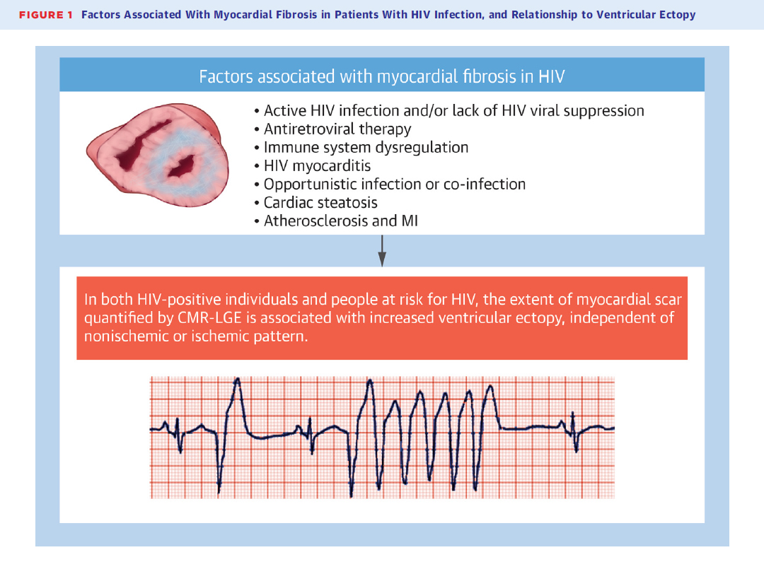 Prof Jason Kovacic (@kovacic_jason) on Twitter photo Congrats <a href="/DrDanTardo/">Daniel Tardo</a> from <a href="/VictorChangInst/">Victor Chang Cardiac Research Institute</a> @SVHSydney on new article highlighting the mechanisms of #heart fibrosis in #HIV infection in <a href="/JACCJournals/">JACC Journals</a> #JACCAdvances
doi.org/10.1016/j.jaca… Congrats <a href="/DrDanTardo/">Daniel Tardo</a> from <a href="/VictorChangInst/">Victor Chang Cardiac Research Institute</a> @SVHSydney on new article highlighting the mechanisms of #heart fibrosis in #HIV infection in <a href="/JACCJournals/">JACC Journals</a> #JACCAdvances
doi.org/10.1016/j.jaca…