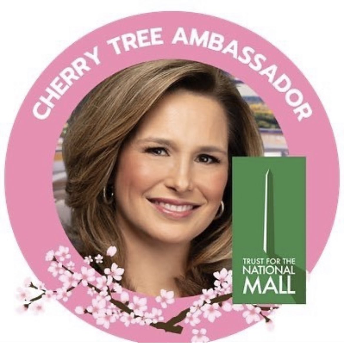 Getting a little misty eyed heading into the 6 o’clock hour. <a href="/Alison7News/">Alison Starling</a> thank you for being a friend of <a href="/TheNationalMall/">The National Mall</a> and Ambassador to help protect the treasured cherry trees. Congratulations on 20 years! We hope to see you soon on America’s Front Yard. 
 📺🌳🇺🇸🏛️🌸⛲️✨