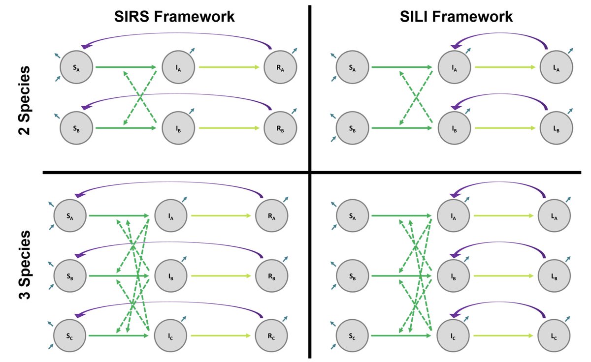 Daniel Becker (@danjbecker) on Twitter photo exciting new work by <a href="/MollySimonis/">Molly Simonis, PhD</a>, where we integrate well-characterized phylogenetic barriers to cross-species transmission into multi-host models of pathogen spread, focusing on co-roosting species exciting new work by <a href="/MollySimonis/">Molly Simonis, PhD</a>, where we integrate well-characterized phylogenetic barriers to cross-species transmission into multi-host models of pathogen spread, focusing on co-roosting species