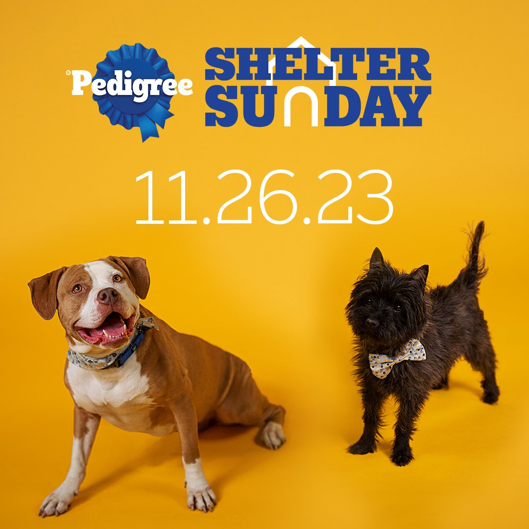 AdoptMAS tweet media