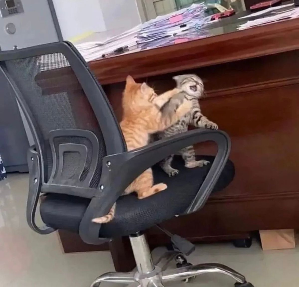 Das Verhältnis zwischen #Watzke, Sebastian #Kehl  ist bislang angespannt, aber weiterhin belastbar. 
#BVB