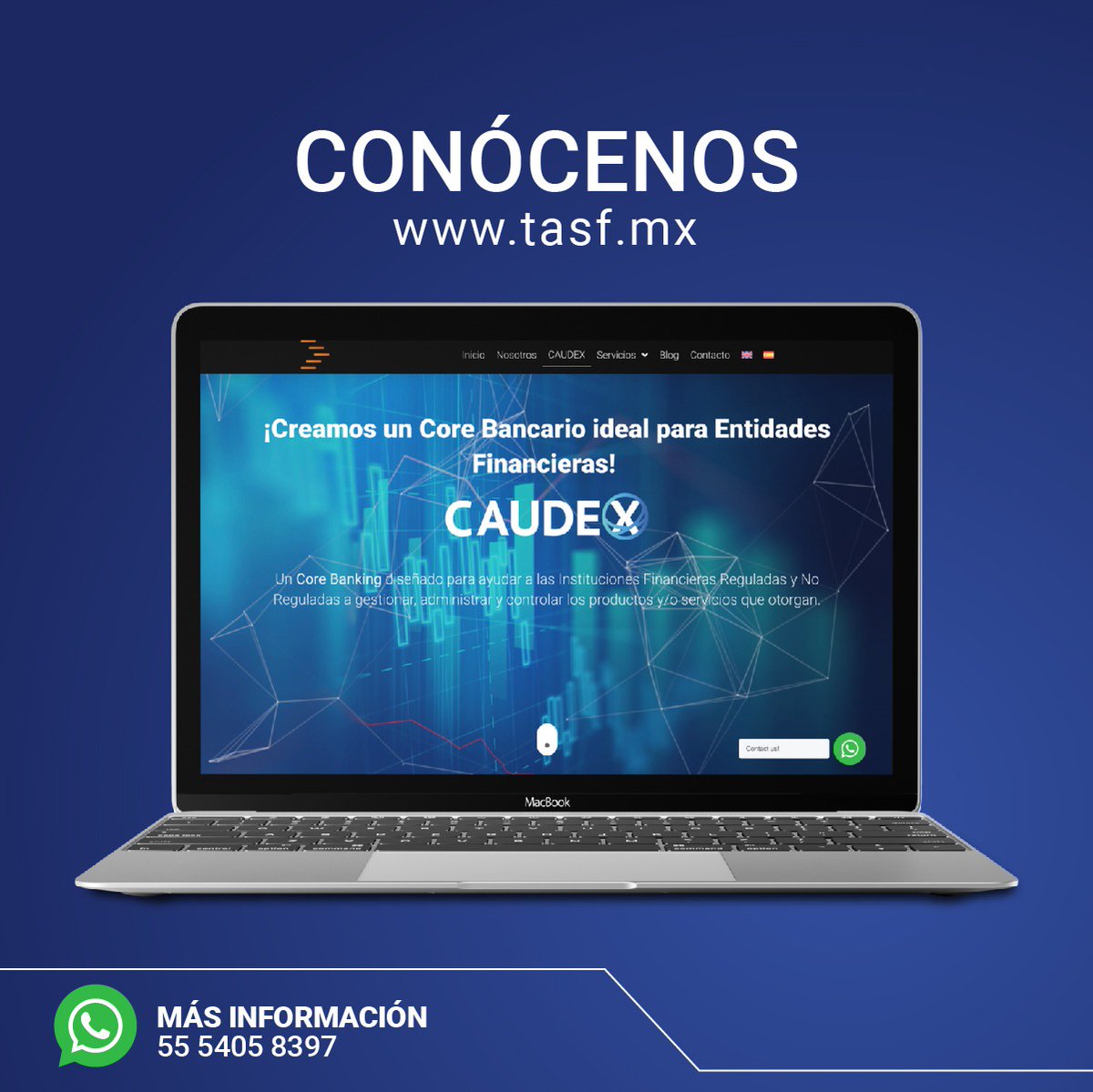 TASFMex's tweet photo. En TASF somos especialistas en el desarrollo de Software Financiero, contamos con un equipo técnico especializado.

Déjanos conocer las necesidades de tu Institución para proporcionarte la asesoría y los recursos que tu empresa requiera.

Contáctanos 55 5405 8397 https://t.co/5BBUzxxxUA