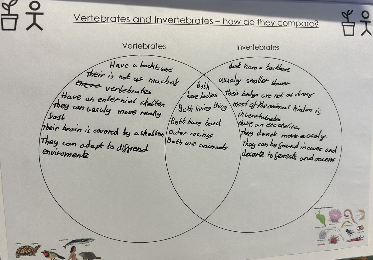Vertebrates And Invertebrates Venn Diagram
