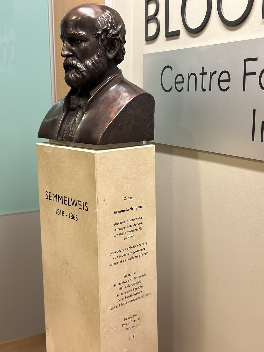 Hungary_Toronto's tweet image. Nagy Katica, the female lead of the Semmelweis film, is warmly welcomed at the @EUFFTO. The actress's first visit in Toronto led her to the Semmelweis statue at Mount Sinai Hospital, paying tribute to the memory of Ignác Semmelweis. #SemmelweisFilm #TorontoFilmFestival 🎬🌟