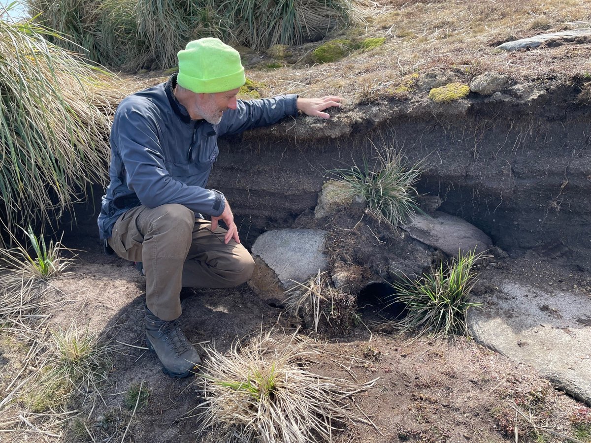 🧵(2/3) Thanks to a generous donation of ducting from <a href="/Trant_Eng/">Trant Engineering</a> ,we were able to construct new artificial nests in place of the old and damaged ones.🛠 It is now hoped that these refurbished burrows will provide a safe place for the petrels to nest.