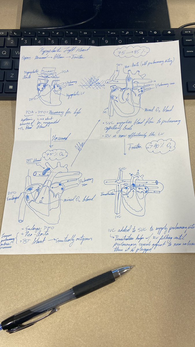 zummie's tweet image. A little on-shift learning about the stepwise repair of hypoplastic left heart syndrome and the expected oxygen saturation at each stage #MedTwitter #MedEd