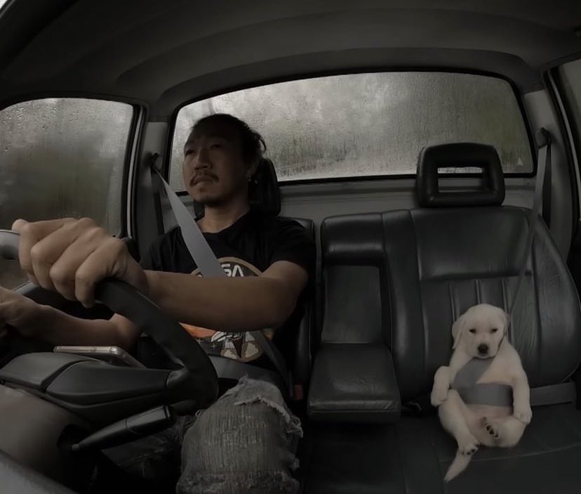 gurreggg's tweet photo. this is what it’s like to be 21 with no drivers license and having ur friends drive u everywhere https://t.co/KNsB0EYFuJ