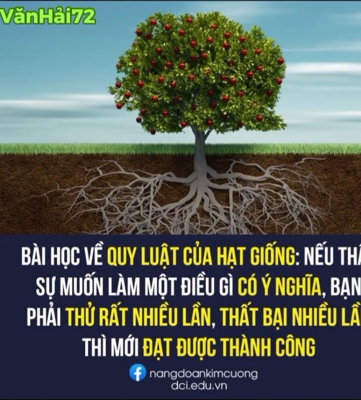 VietNam197's tweet photo. #ApologizeTo
PI NETWORK  SỰ TRƯỞNG THÀNH CỦA HỆ SINH THÁI
Câu hỏi đặt ra là hệ sinh thái như thế nào được gọi là đã trưởng thành? Tiêu chí này theo mình sẽ được đánh giá dựa trên khối lượng giao dịch hàng ngày trên số cái blockchain.pi.
Sự đa dạng các hàng hoá dịch vụ trên hệ sinh thái sẽ giúp hình thành các vòng tròn tiền tệ từ đó khi Pi Open Mainnet sẽ thu hút các doanh nghiệp, những người kinh doanh và các nhà đầu tư bên ngoài tham gia vào hệ sinh thái. Mà muốn nó đa dạng thì cần nhiều người tham gia với nhiều loại hãng hoá dịch vụ. Khi các vòng tròn xuất hiện nghĩa là người sản xuất có thể nhập nguyên liệu bằng Pi người kinh doanh có thể nhập hàng bàng Pi người dân chấp nhận cho doanh nghiệp trả lương bảng Pi thì ai cũng muốn giữ Pi hơn là tiền mặt. Lúc này khối lượng giao dịch sẽ tăng lên điều đó sẽ giúp PiCoTeam có cơ sở đưa ra quyết định cho Open Mainnet.