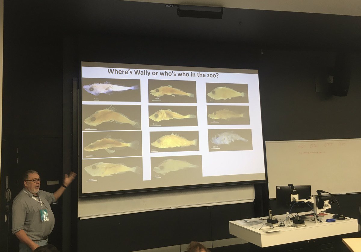 (Semi) retired temperate larval fish guru Dr Tony Miskiewicz from @AustmusResearch schooling us on “Who’s Who in the Zoo” for flatfish larvae off of East Australia @ipfc2023