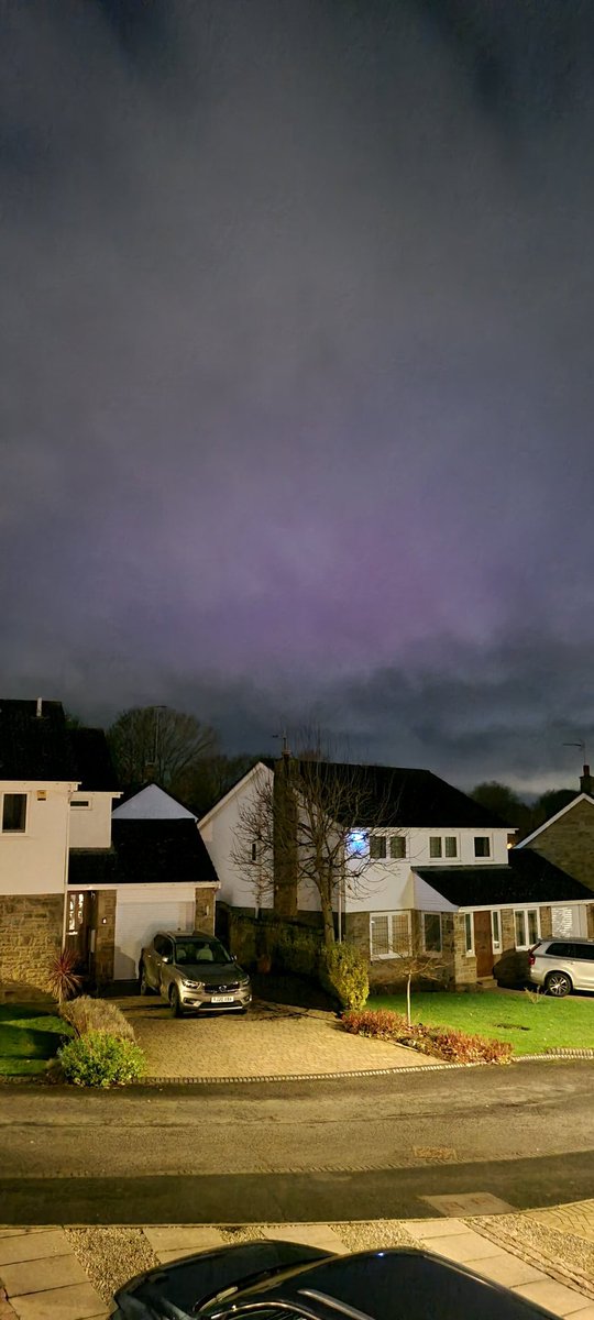 Layla Atkinson tweet media