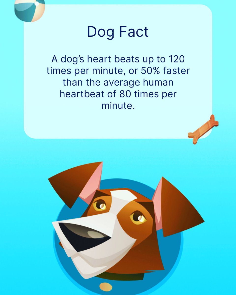 🥳🥳We still have few boarding spots available for the Christmas, get ready for the Christmas holiday! 🐾Check out our website for more information: releasethehounds.ca

.
.
.
.
.
.
.
.
.
#dogwalking #dogwalkinglife #dogwalkingservices #dogwalkingadventures #dogs #dogsofinst