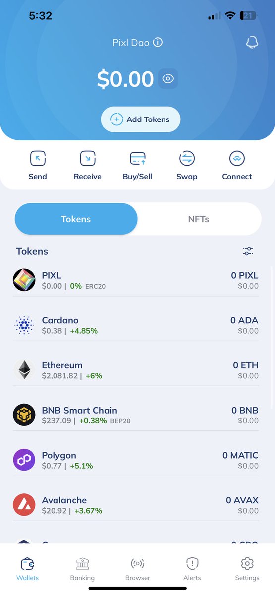 PIXL DAO ⟐ tweet media