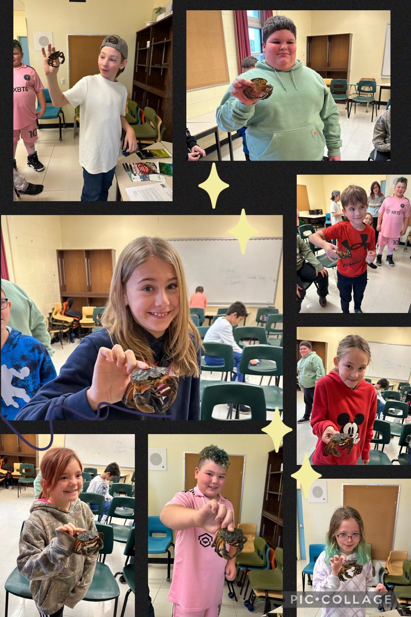 Ms. Mitchell tweet media