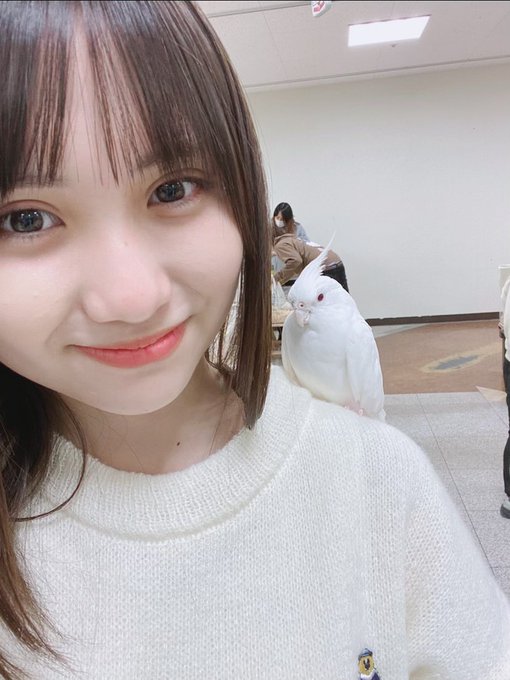 Twitterのコスプレ画像1