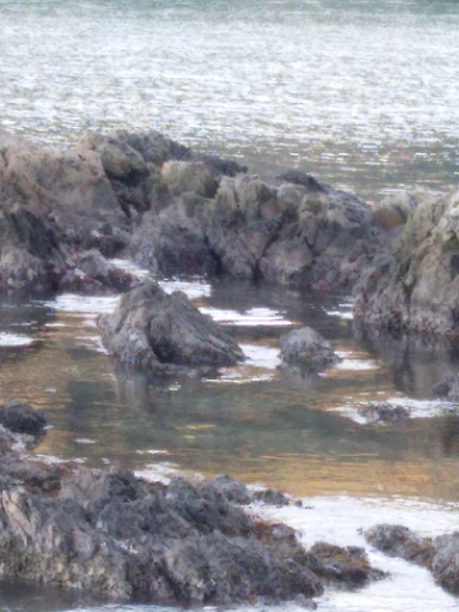 おはようございます
ポカポカ陽気に誘われて