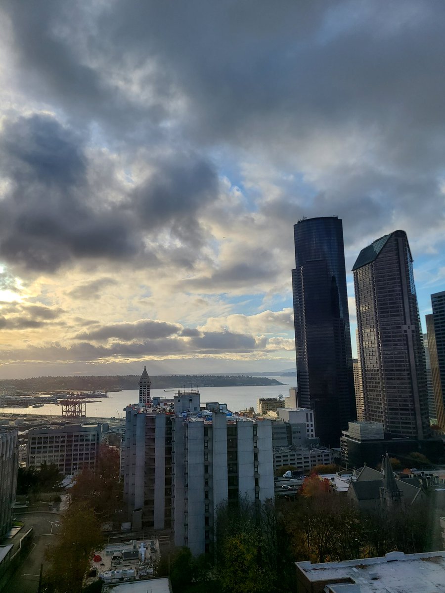 Tracy Tylee (@rowing_mom_md) on Twitter photo UW Endocrine at Harborview has the best views. We ❤️ our new clinic space! <a href="/UWEndocrinology/">UW Endocrinology</a> <a href="/harborviewmc/">Harborview Medical Center</a> UW Endocrine at Harborview has the best views. We ❤️ our new clinic space! <a href="/UWEndocrinology/">UW Endocrinology</a> <a href="/harborviewmc/">Harborview Medical Center</a>