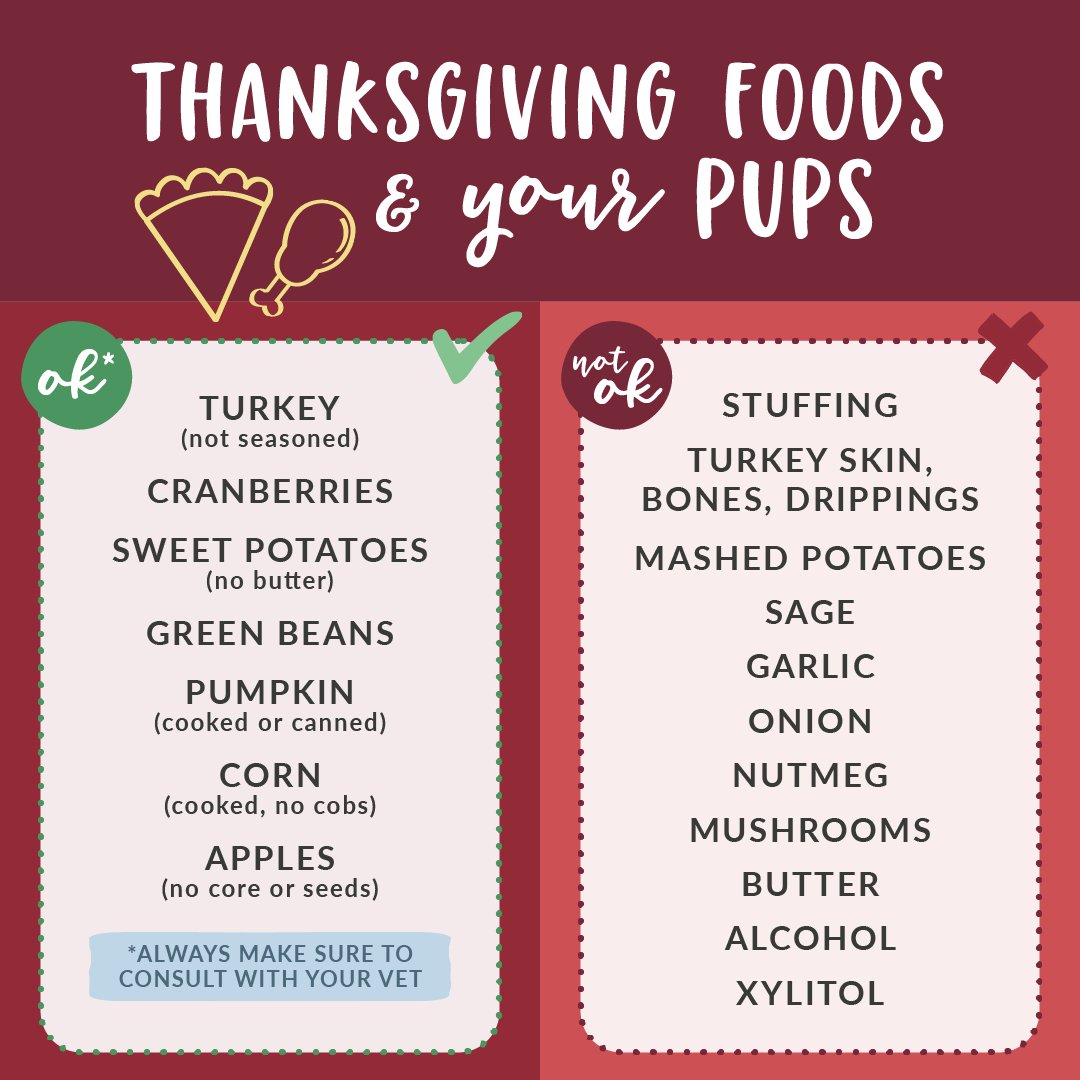 CBWCedarHill's tweet photo. Look out for your pup when it comes to sharing food with them! Some of these popular holiday dishes can be harmful to our fur babies. https://t.co/nAhvOGDLRU