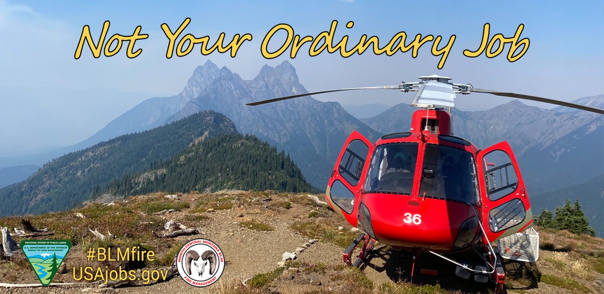 BLM_MTDKs's tweet photo. Check out this 🔥HOT🔥 job in Lewistown, MT! We’re seeking a full-time, permanent Wildland Firefighter (Helicopter Crew Supervisor) to join our team. $57,118-$74,250 DOQ&E. Apply NLT 10 p.m., Nov. 29.
https://t.co/WTY3lgoVwn
#BLMFire #FireJob #AerialFire #NCMD https://t.co/oYCwLxe0Hi