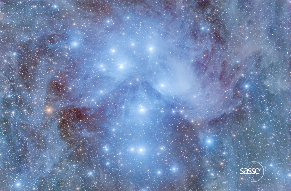 Dr. Christian Sasse tweet media