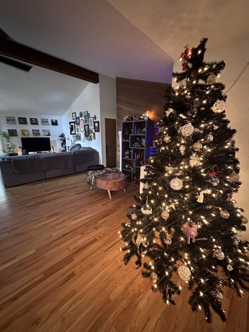 maile_trees