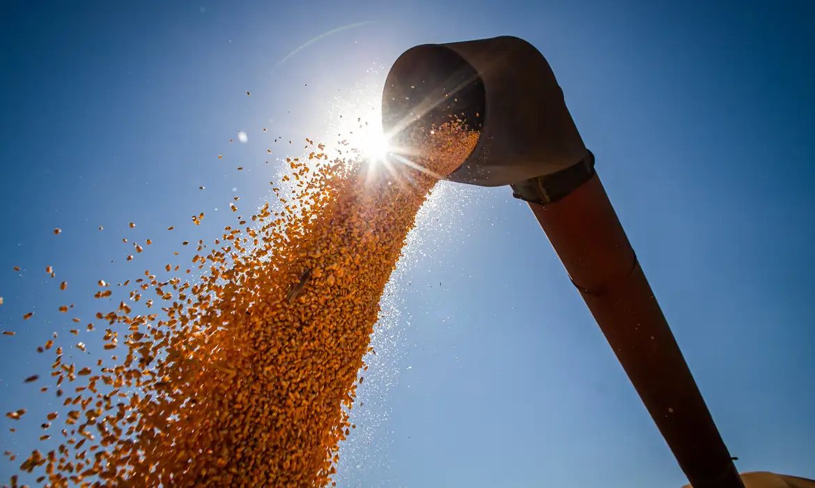 DO BRASIL PARA O MUNDO | Brasil vai exportar derivados da produção de etanol de milho. Segundo <a href="/Mapa_Brasil/">Ministério da Agricultura e Pecuária</a>  Vietnã, Tailândia, Turquia e Nova Zelândia abriram mercado para os produtos brasileiros.

📷CNA/Wenderson Araujo
