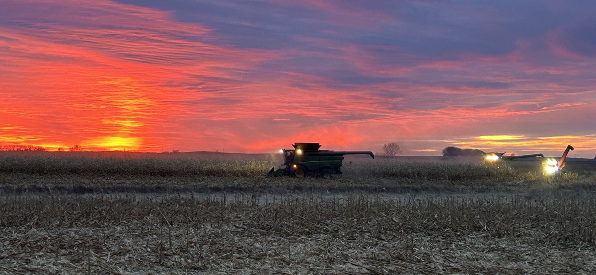 No filter needed in the cotton candy sunsets we’ve been having, still going strong in corn #customharvest23