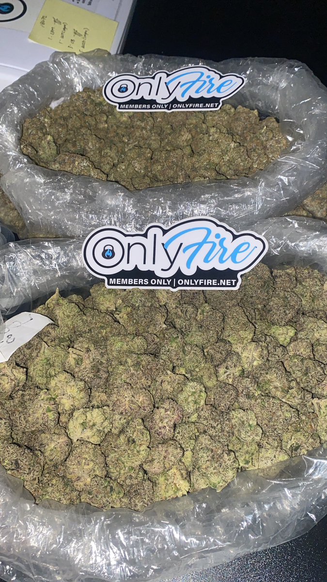 OnlyFireLA's tweet photo. @cosmicstoner13 Lemon cherry gelato and gorilla mintz. I need some help finishing this! Any takers? https://t.co/vi2NMrzvk8