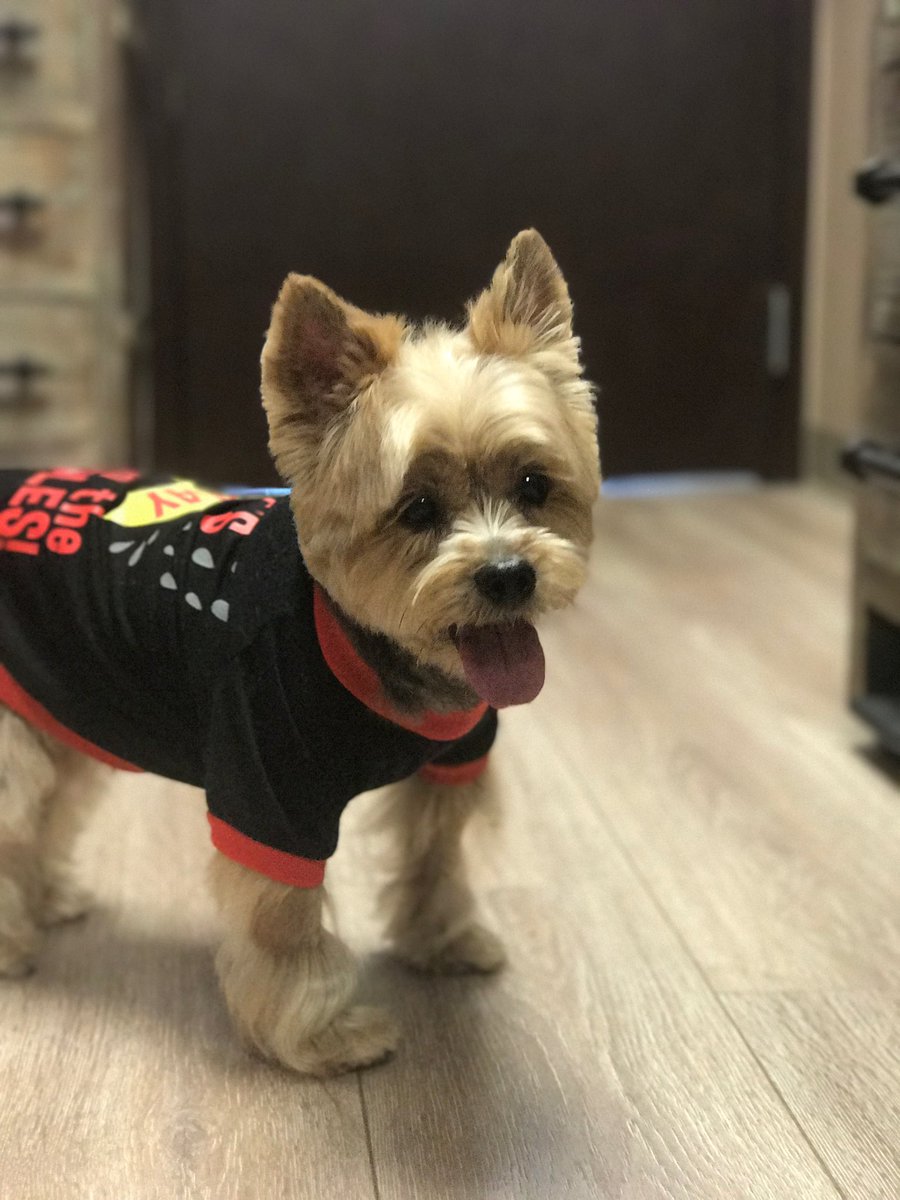 I Thank each of you for the Love &amp; Support it mean so much. And I send out HUGE hugs to many of you who say you lost your fur babies also My heart go out to each of you🙏🏾You not alone💜 Much love to yall🐶🐾 RiP #Hoodie🌈