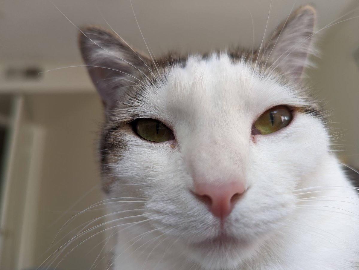 JazzzBerrry @jazzzberrrysfw - Twitter Profile | Sotwe