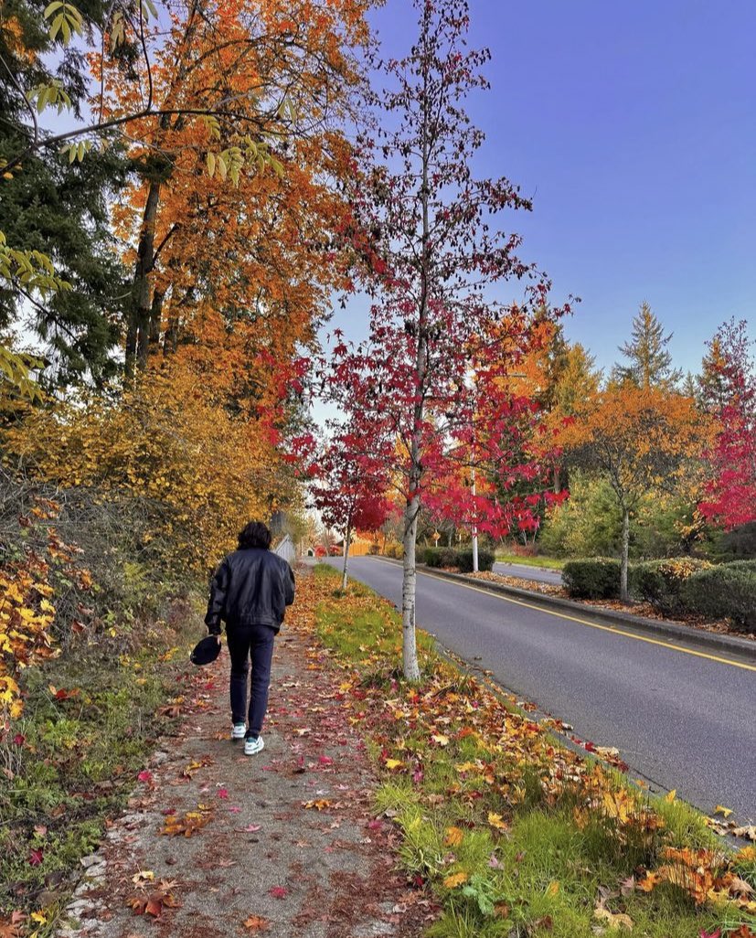 miitssuk's tweet photo. 🍂 https://t.co/Gx0jwaUnvU