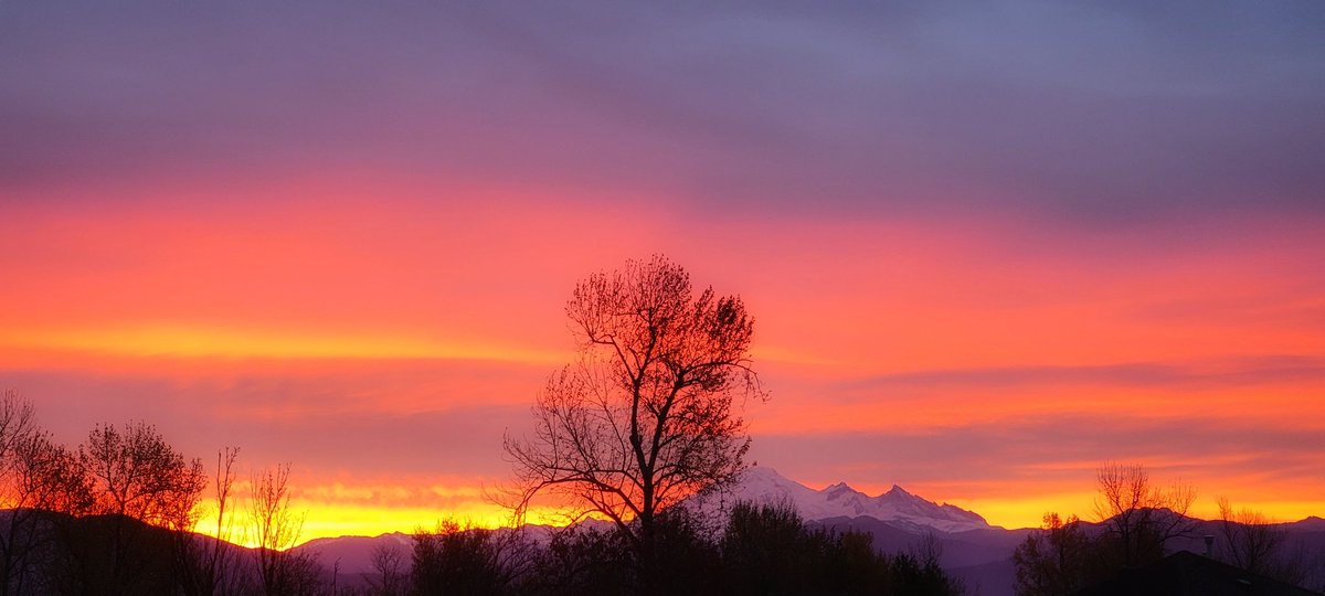 JonathonMcIntyre tweet media